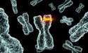 Kromozom Mutasyon