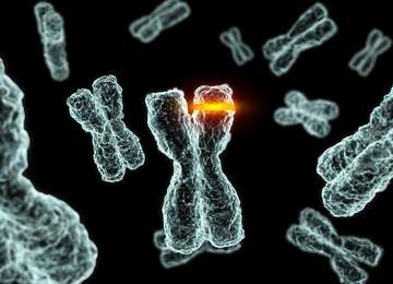 Kromozom Mutasyon