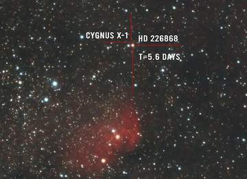 Tulip Nebula, HD 226868 ve Cygnus X-1