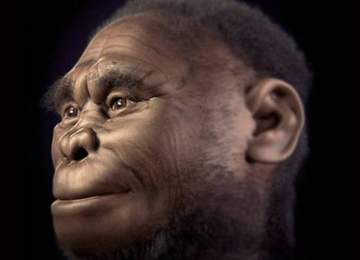 Homo Luzonensis