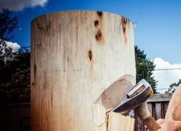 Kesilmekte olan bir kütük