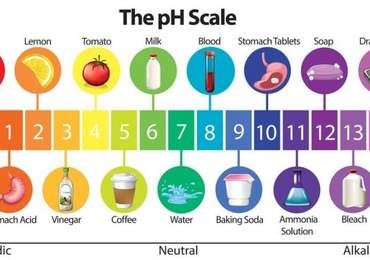 Ph skalası