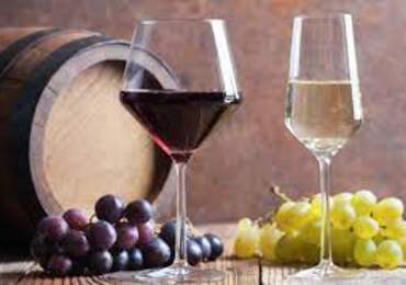 şarap ve üzümler