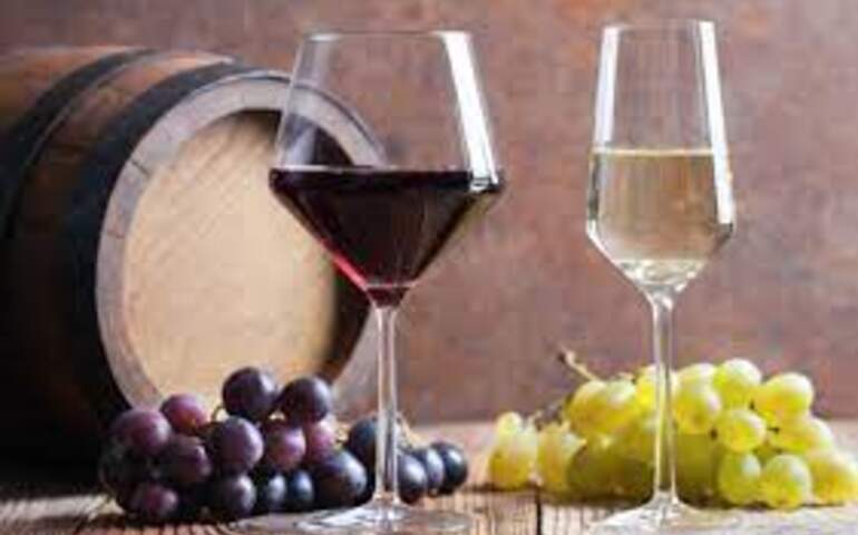 şarap ve üzümler