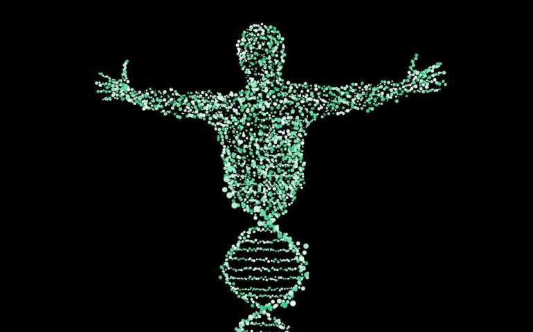 İnsan ve DNA